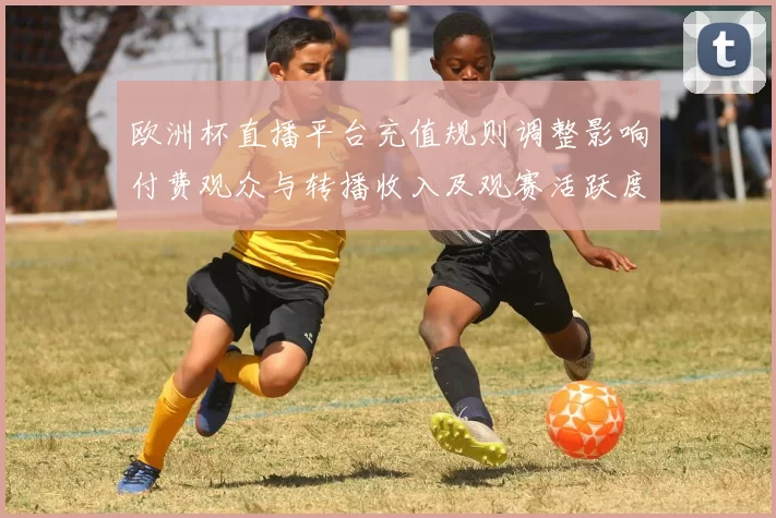 欧洲杯直播平台充值规则调整影响付费观众与转播收入及观赛活跃度