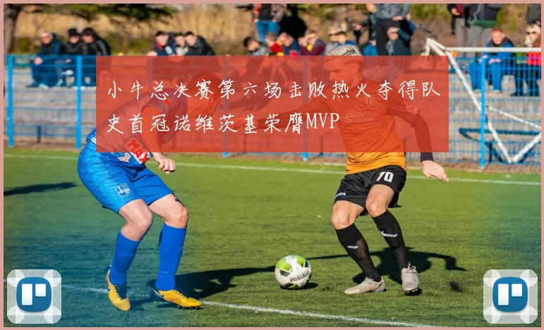 小牛总决赛第六场击败热火夺得队史首冠诺维茨基荣膺MVP