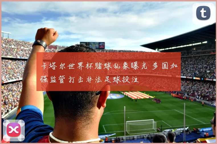 卡塔尔世界杯赌球乱象曝光 多国加强监管打击非法足球投注