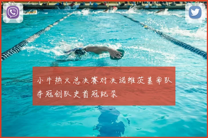 小牛热火总决赛对决诺维茨基率队夺冠创队史首冠纪录