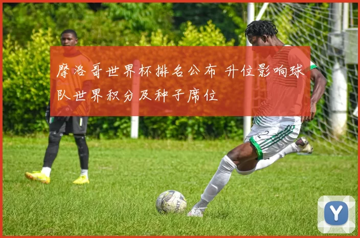 摩洛哥世界杯排名公布 升位影响球队世界积分及种子席位
