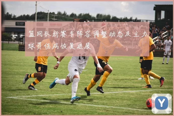 篮网队新赛季阵容调整动态及主力球员伤病恢复进展