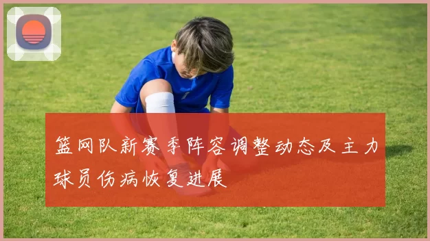 篮网队新赛季阵容调整动态及主力球员伤病恢复进展