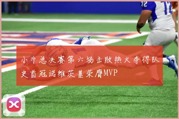小牛总决赛第六场击败热火夺得队史首冠诺维茨基荣膺MVP