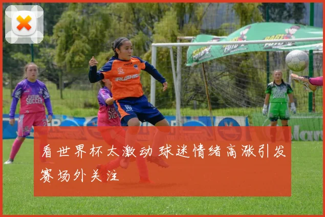看世界杯太激动 球迷情绪高涨引发赛场外关注