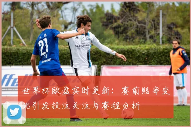 世界杯欧盘实时更新：赛前赔率变化引发投注关注与赛程分析