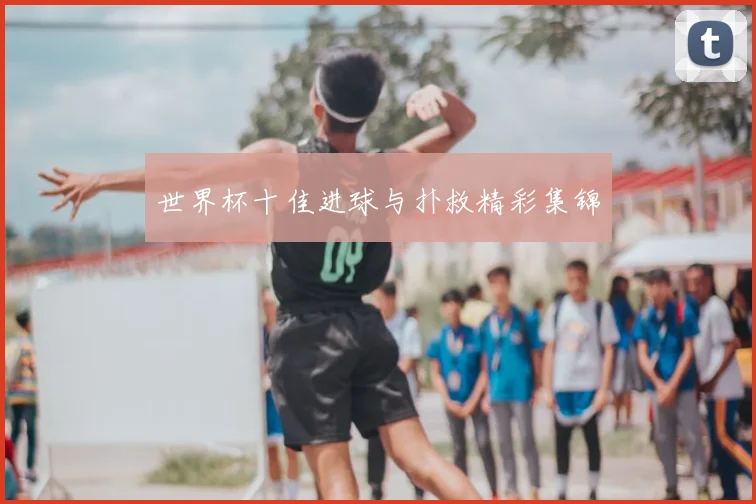 世界杯十佳进球与扑救精彩集锦