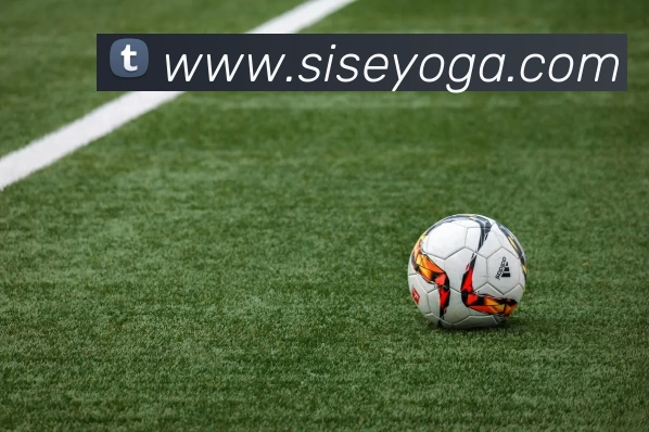 奇异果官方网站 - 奇异果(中国)平台生态图