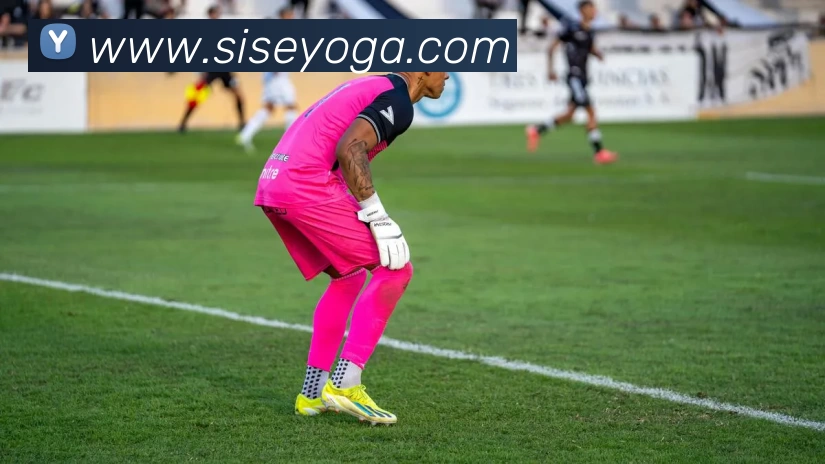 数据防护可视化